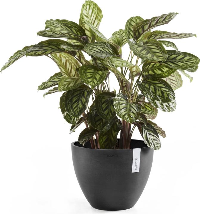 Produktbild Ecopots Antwerp (30 cm)