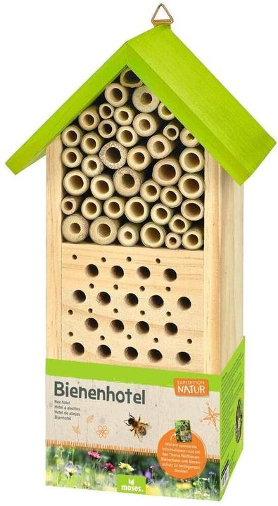 Spedizione Natura (Api)