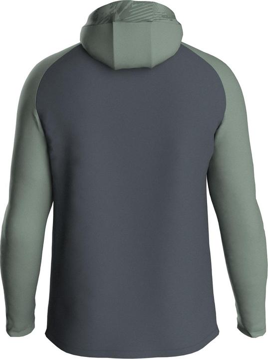 Actual product image JAKO Iconic hooded jacket (XL)