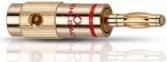Actual product image Oehlbach Banana B1