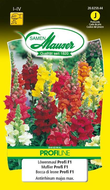 Samen Mauser Snapdragon Profi F1 Profiline (Semi di piante)