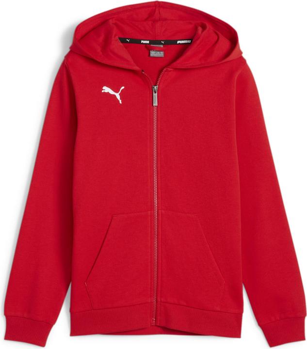 Puma teamGOAL Casuals Hooded Jacket Jr
