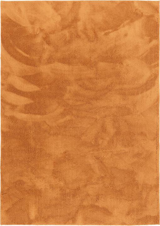 Image du produit Pergamon Tapis en fourrure Super Soft Pearl Kids pour enfants (120 x 170 cm)
