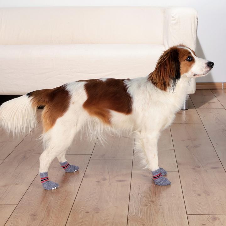 Immagine prodotto Trixie Calzini per cani (L, XL, Calzini per cani)