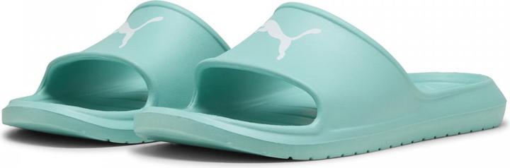 Actual product image Puma Divecat v2 Lite Cat (40.5)