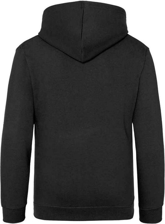 Image du produit Awdis - Sweat à capuche - Enfant (152, 158)