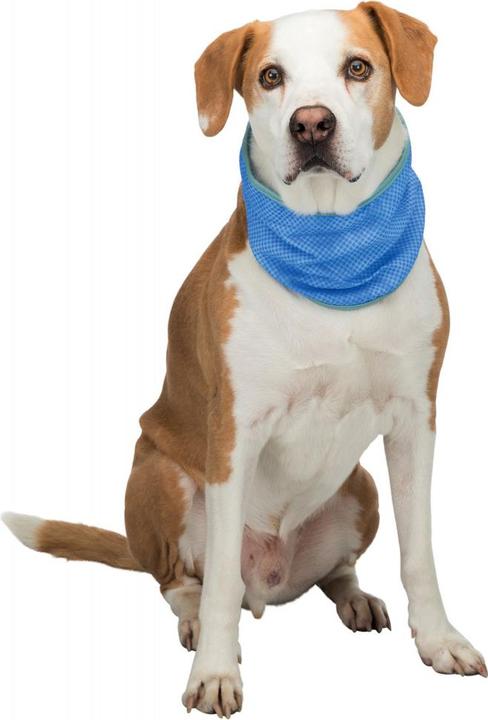 Image du produit Trixie Bandana réfrigérant (M, Bandana pour chien)