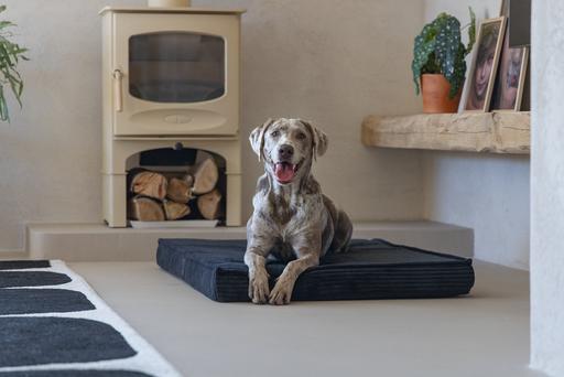 Image du produit Designed by Lotte Coussin pour cage Orthopaed Ribbed (Chien)