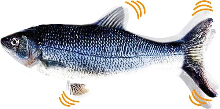 Produktbild MediaShop Flippity Fish (Katzenminzespielzeug)