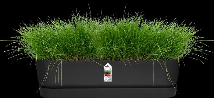 Image du produit Elho Greenville (19.50 cm)