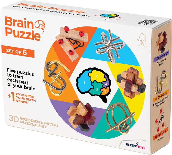 Actual product image Recent Toys Brain Puzzle set of 6 (6 pieces)