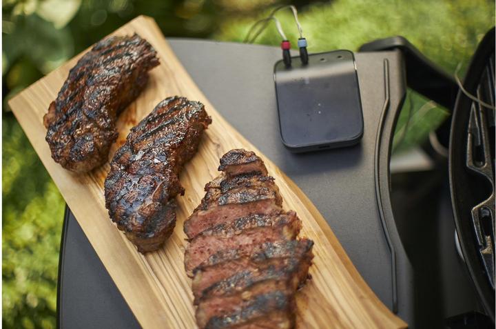 Actual product image Weber Connect Smart