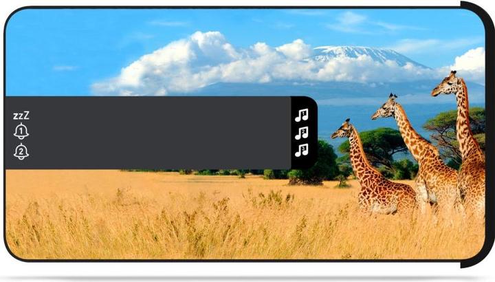 Produktbild Bigben Safari