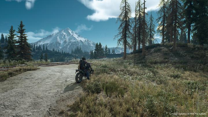 Produktbild Sony DAY'S GONE - PS4 (PS4, DE)