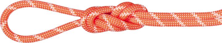 Image du produit Mammut Corde d'escalade 8.0 Alpine Classic (60 m)