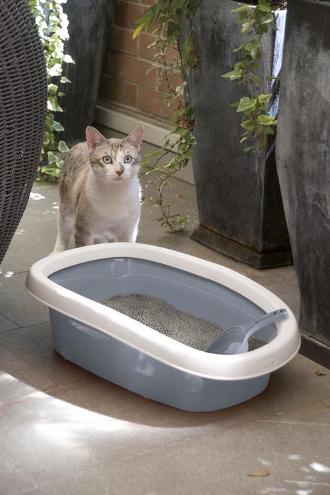 Produktbild Kerbl SPRINT Katzentoilette mit Rand (Katzenklo offen)