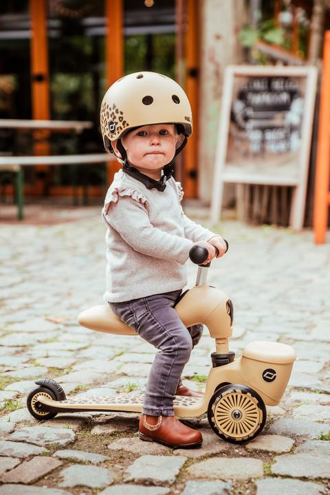 Actual product image Scoot and Ride Highwaykick