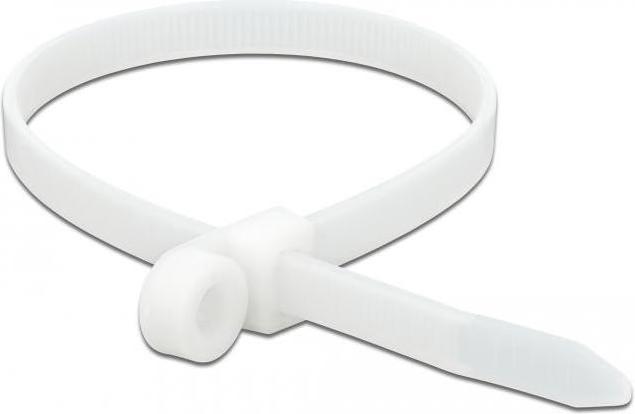 Image du produit Delock Cable tie avec oeillet de fixation (400 mm, 10 pcs)