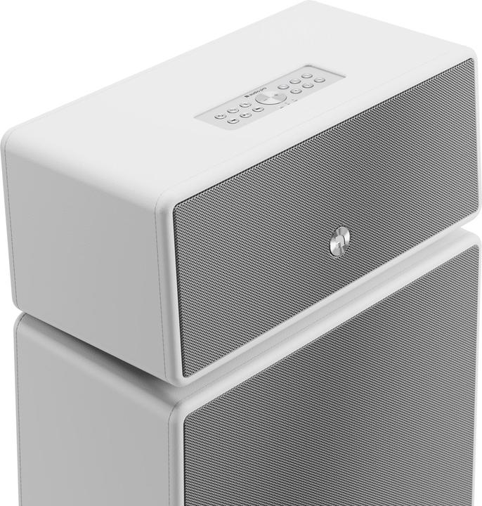 Actual product image Audio Pro DRUMFIRE II - Speaker (Bluetooth, Wi-Fi)