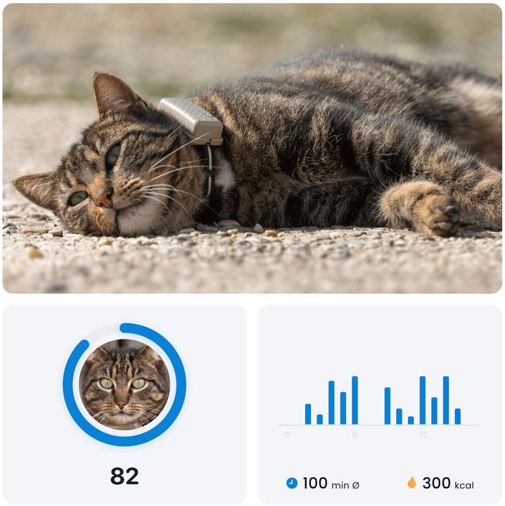 Immagine prodotto Tractive GPS Mini (Taglia unica, Gatto, Generale)