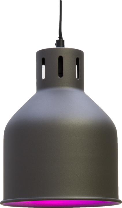 Venso Saga (LED, 230 V)