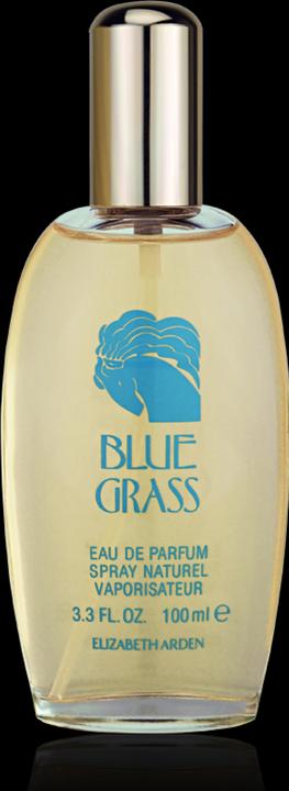 Immagine prodotto Elizabeth Arden Erba blu (Eau de parfum, 100 ml)