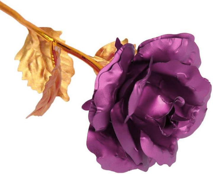 Image du produit JTI Rose éternelle - Lilas avec tige dorée (Fleurs séchées)