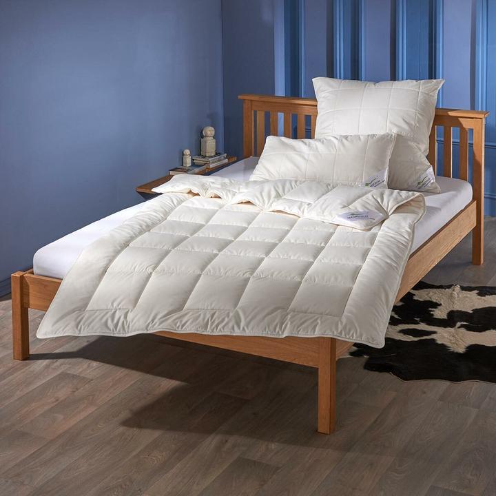 Image du produit Traumschlaf medium Baumwolle (1600 g, 160 x 210 cm)