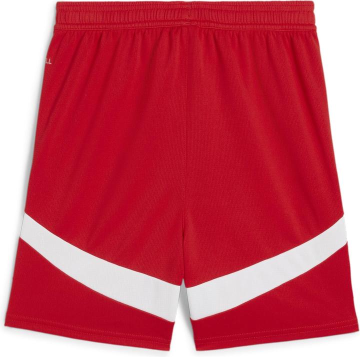 Actual product image Puma RBS Shorts Replica Jr (116)