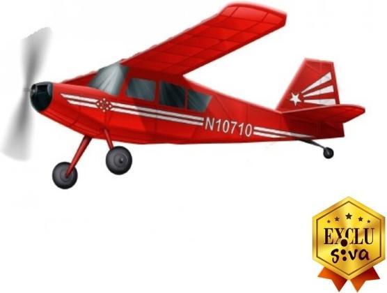 Actual product image Siva FF Bellanca Citabria rubber motor model