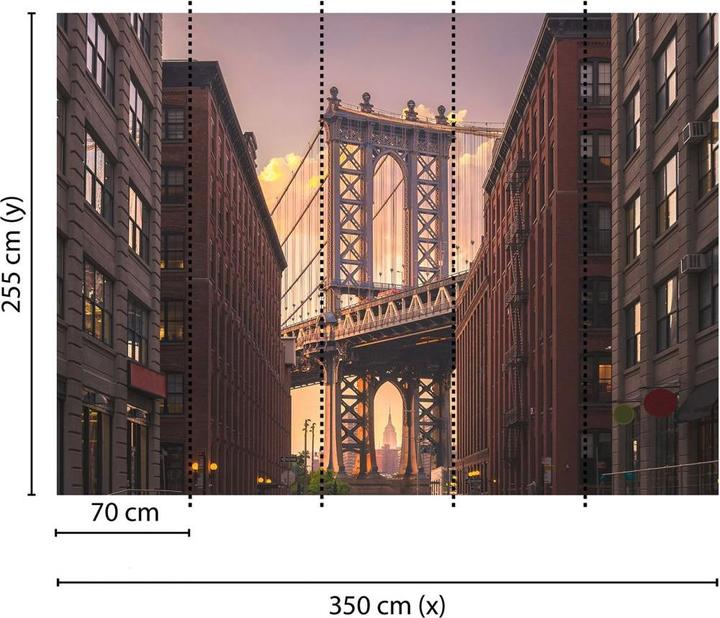 Immagine prodotto Livingwalls Designwalls Brooklyn Bridge City (350 x 255 cm)