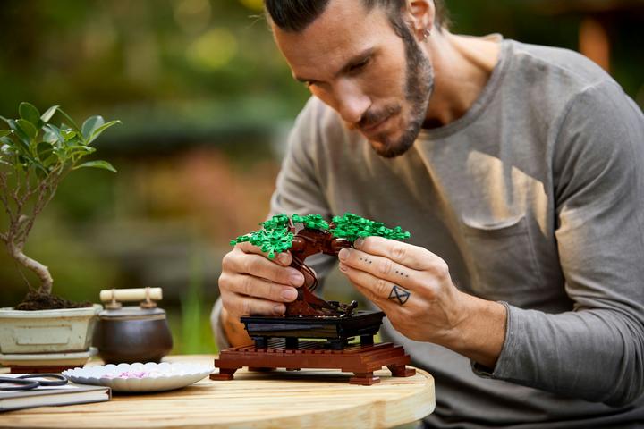 Produktbild LEGO Bonsai Baum (10281, LEGO Botanical, LEGO Icons)