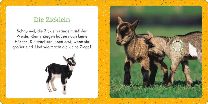 Actual product image Sound book for tiny tots - farm animals (German)