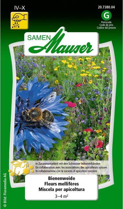Samen Mauser Bienenweide (Pflanzensamen)