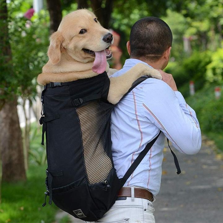 Produktbild WLDOCA Hunderucksack (Hund, Faltbar, Atmungsaktiv, Waschbar)