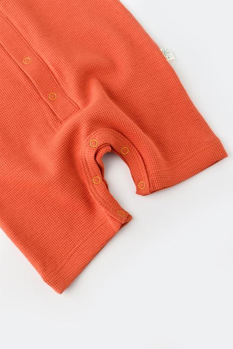 Actual product image BabyCosy Short sleeved Romper (68)
