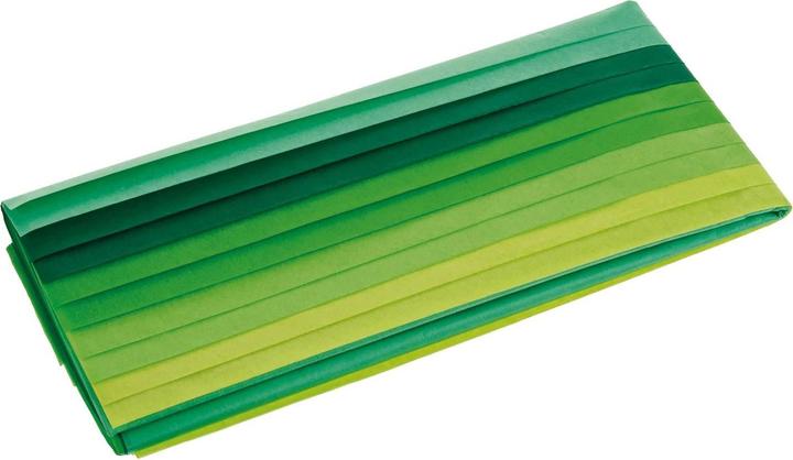 Image du produit Folia Mélange de papier de soie ton sur ton (20 g/m², 10 x)
