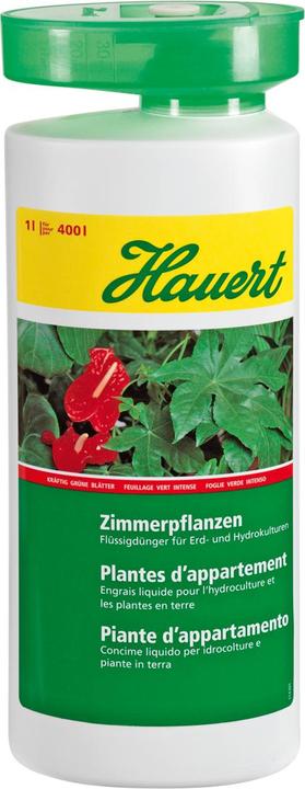 Actual product image Hauert Houseplant fertilizer (1.26 kg, 1 l)