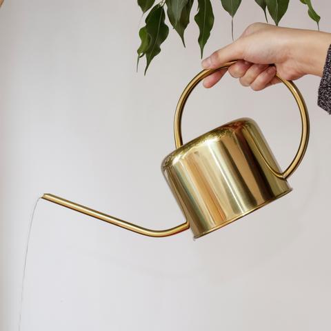 Immagine prodotto Kikkerland Annaffiatoio d'epoca (1.20 l)