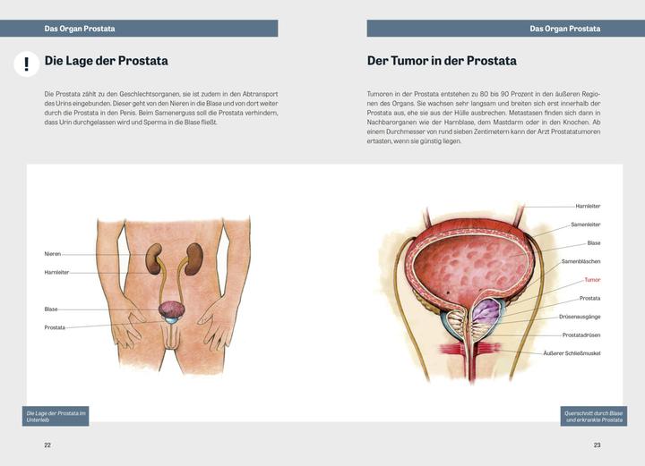 Actual product image Hurra, dass wir noch leben! (German, Udo Ludwig, 2020)