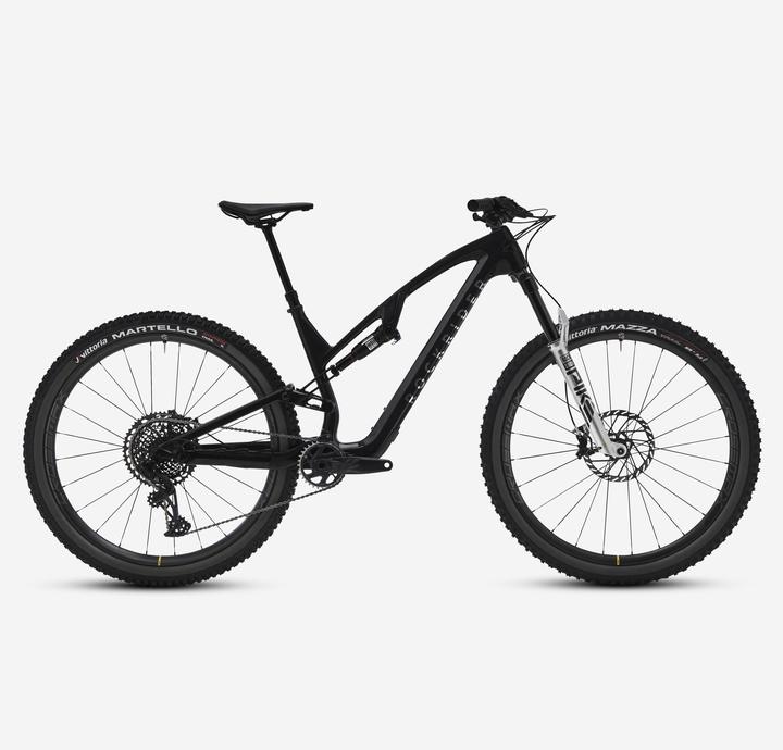 Actual product image Rockrider Mountainbike Feel 900 S All Mountain Team Edition Carbon 29 Zoll Schwarz