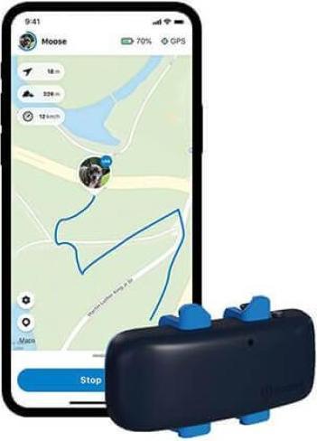 Actual product image Tractive Dog 4 GPS Tracker for Dogs (Cat, Dog, Walks)