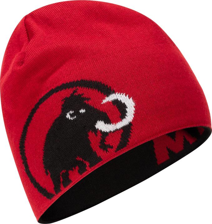 Actual product image Mammut Logo (One size)