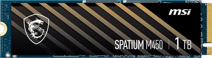 MSI Spatium M480 (1000 Go, M.2 2280)