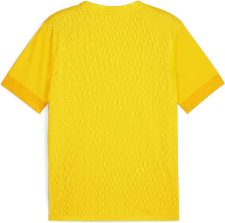 Image du produit Puma teamGOAL Matchday Jersey (M)