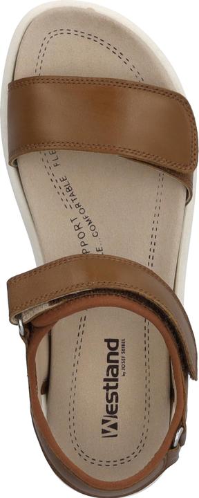 Actual product image Westland 25401-410 (38)