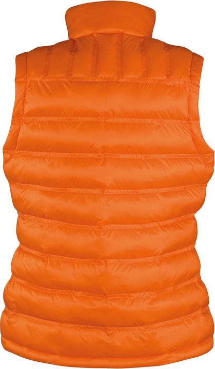 Actual product image Result Womens/Ladies Ice Bird Padded Gilet (42 D)