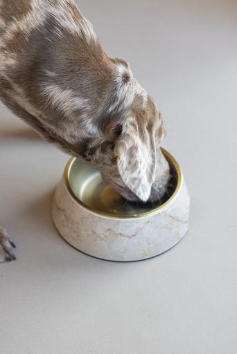 Actual product image Designed by Lotte Dog bowl Meis (0.70 l)