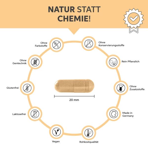 Image du produit Eltabia Gélules de maca bio 100 (100 pièce(s), Capsules)