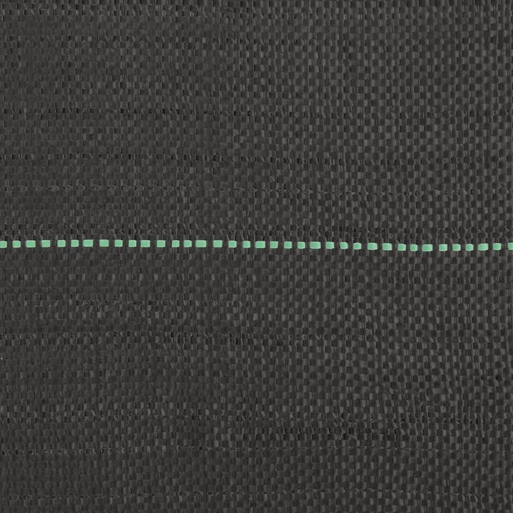 Productafbeelding VidaXL Onkruidvlies tuinvlies gronddoek onkruidfolie zwart 0,5x200m PP